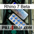 Rhino 7 Beta 39